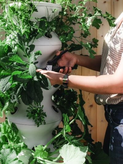 Agrotechnology & Applied Sciences